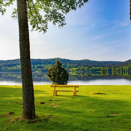 Amenity & Lipno