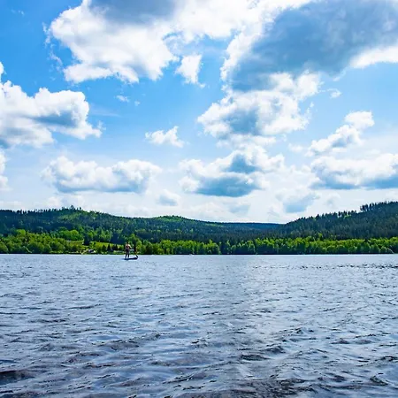 Hotel Amenity & Lipno 4*