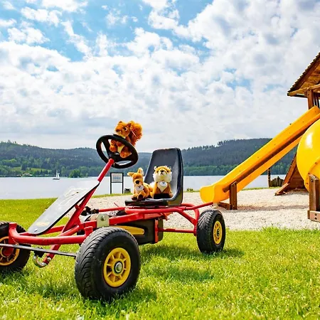 Amenity & Lipno Hotel Lipno nad Vltavou
