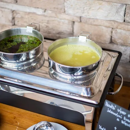 Hotel Amenity & Lipno 4*