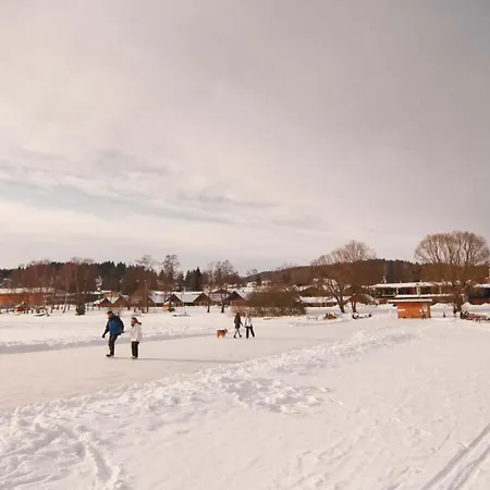 Amenity & Lipno Hotel
