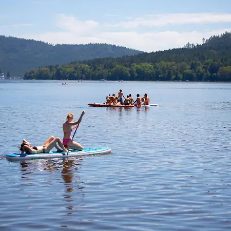 Amenity & Lipno Hotel