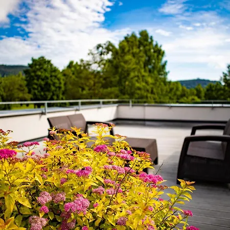 Hotel Amenity & Lipno 4*
