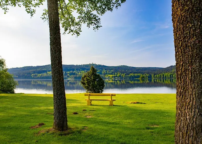 Amenity & Lipno