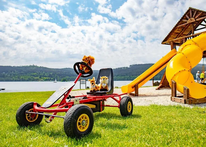 Amenity & Lipno Hotel Lipno nad Vltavou