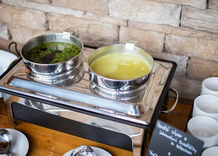 Hotel Amenity & Lipno 4*