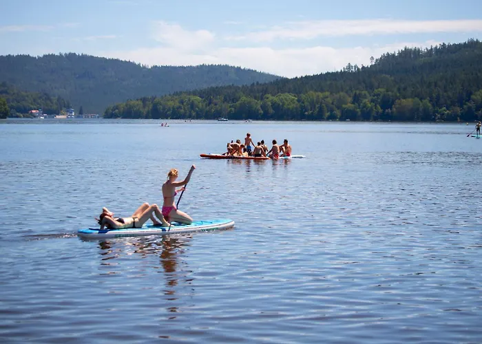 Amenity & Lipno Hotel
